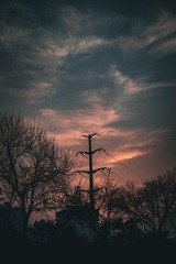 1000113283