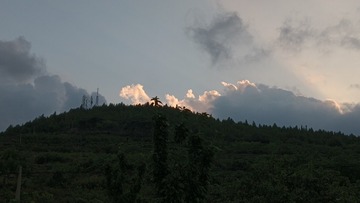 1000035639