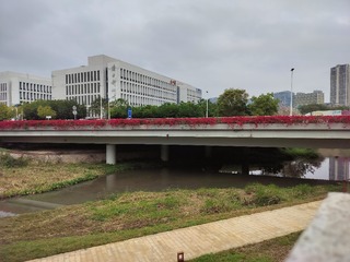 1000035573