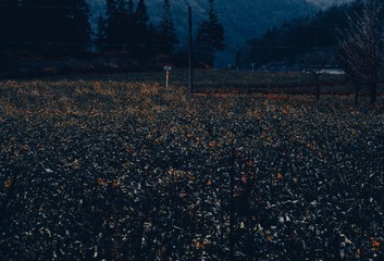 88611
