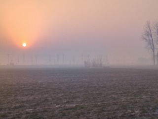 1000074106