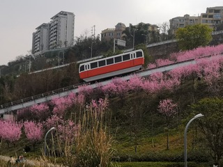 1690032