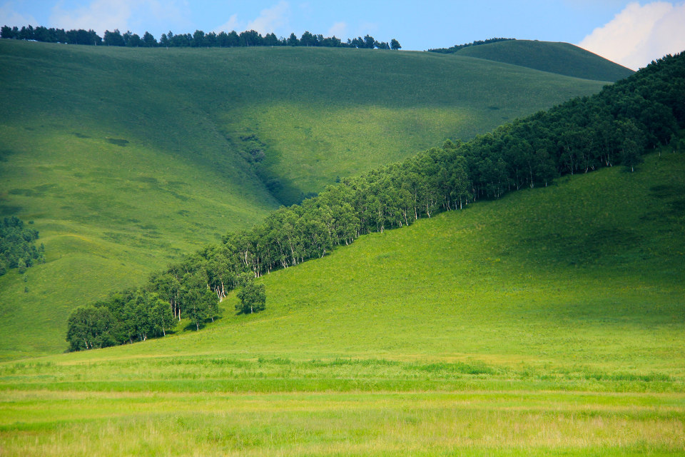 远处的树林 br />