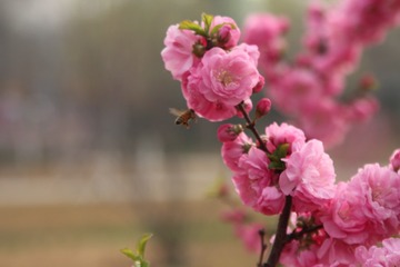 IMG_9019