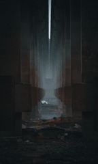 1000029028