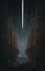 1000029038