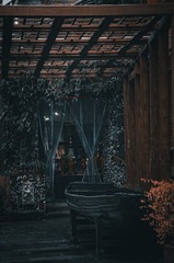 1000029058
