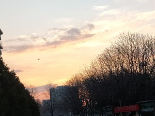 1000019055