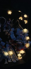 1000026439