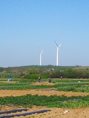 478860