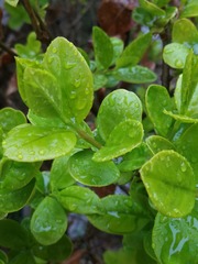 IMG_20240414_094622