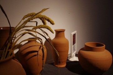 IMGP4076.JPG