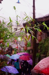 IMGP0577 - 副本.JPG