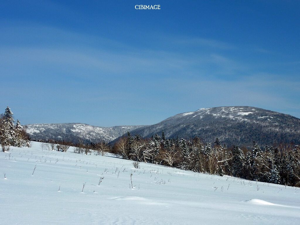 林海雪原2<br />
