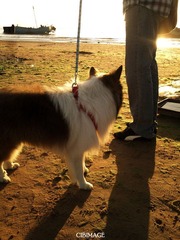 DSC01996--.jpg