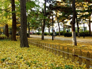 P1080365--.jpg