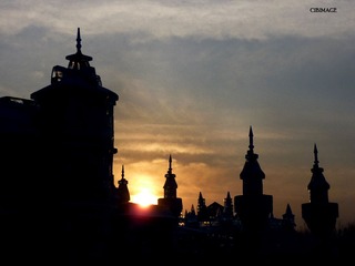 P1090061+.jpg