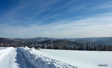 P1080781+.jpg
