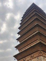 1000126072