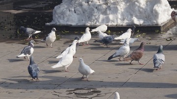 1000066845