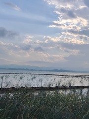 1000057101