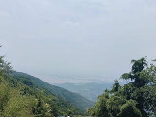 1000055852