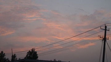 1000010773