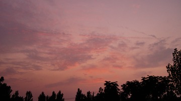 1000010763
