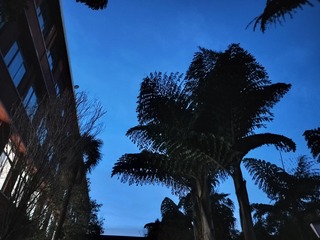 1000016256