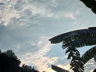 1000020463