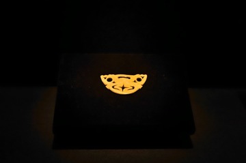 1000148116