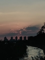 1000025331