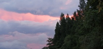 IMG_20210724_194554
