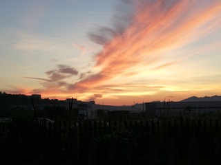 IMG_20200804_060347