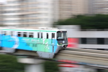 1000051541