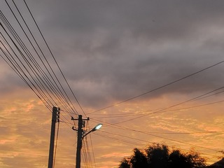 1000049607