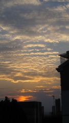 IMG_20240309_012446