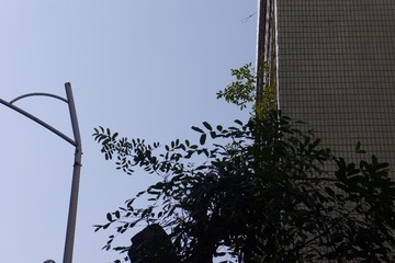 1204041