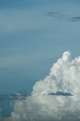 1000095814