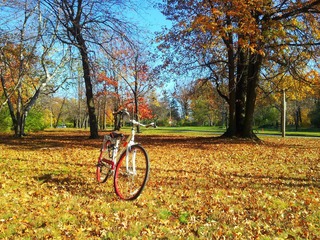 20121025_153302.jpg
