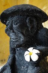 R0000734