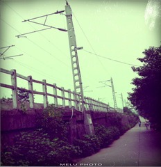 CID_3817