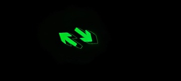 1000187053