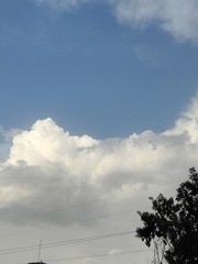 1000468614