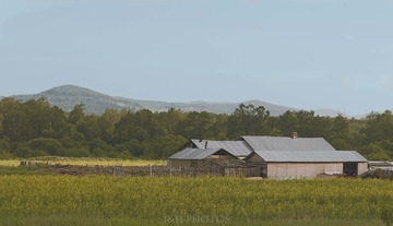 20140627-DSC_3182图虫