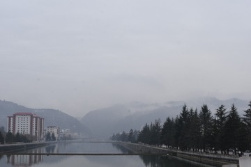 1000174331