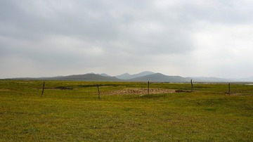 DSC06981