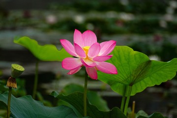 DSC00199