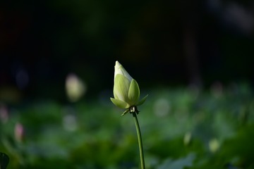 748754