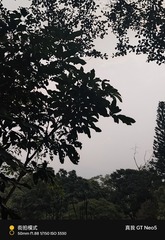 1000032219